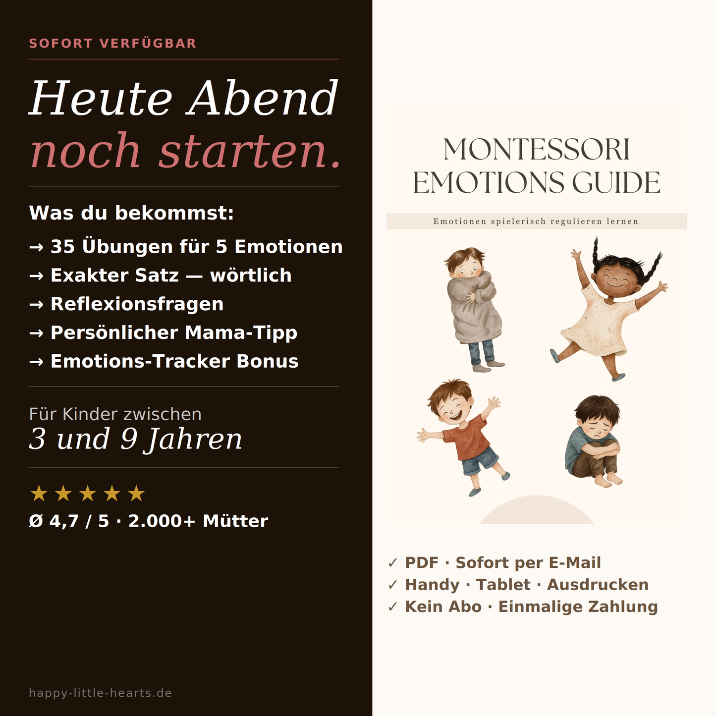 Montessori Emotions - Guide