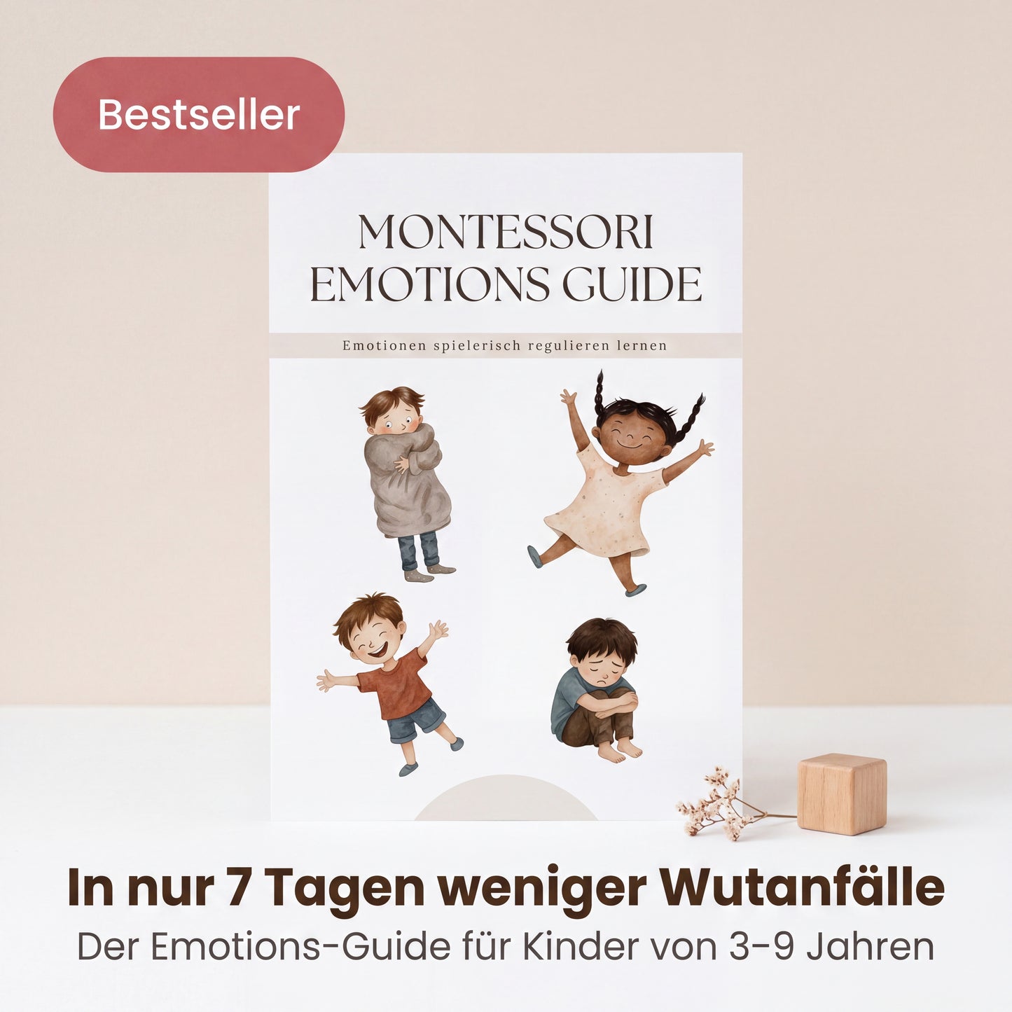 Montessori Emotions - Guide