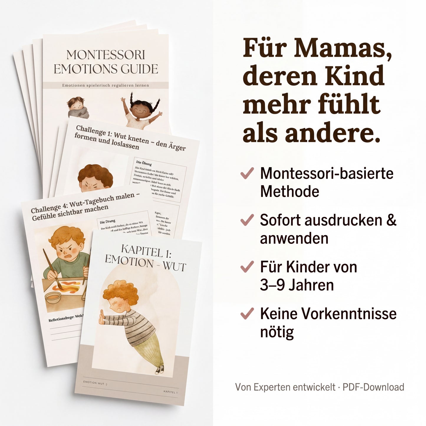 Montessori Emotions - Guide