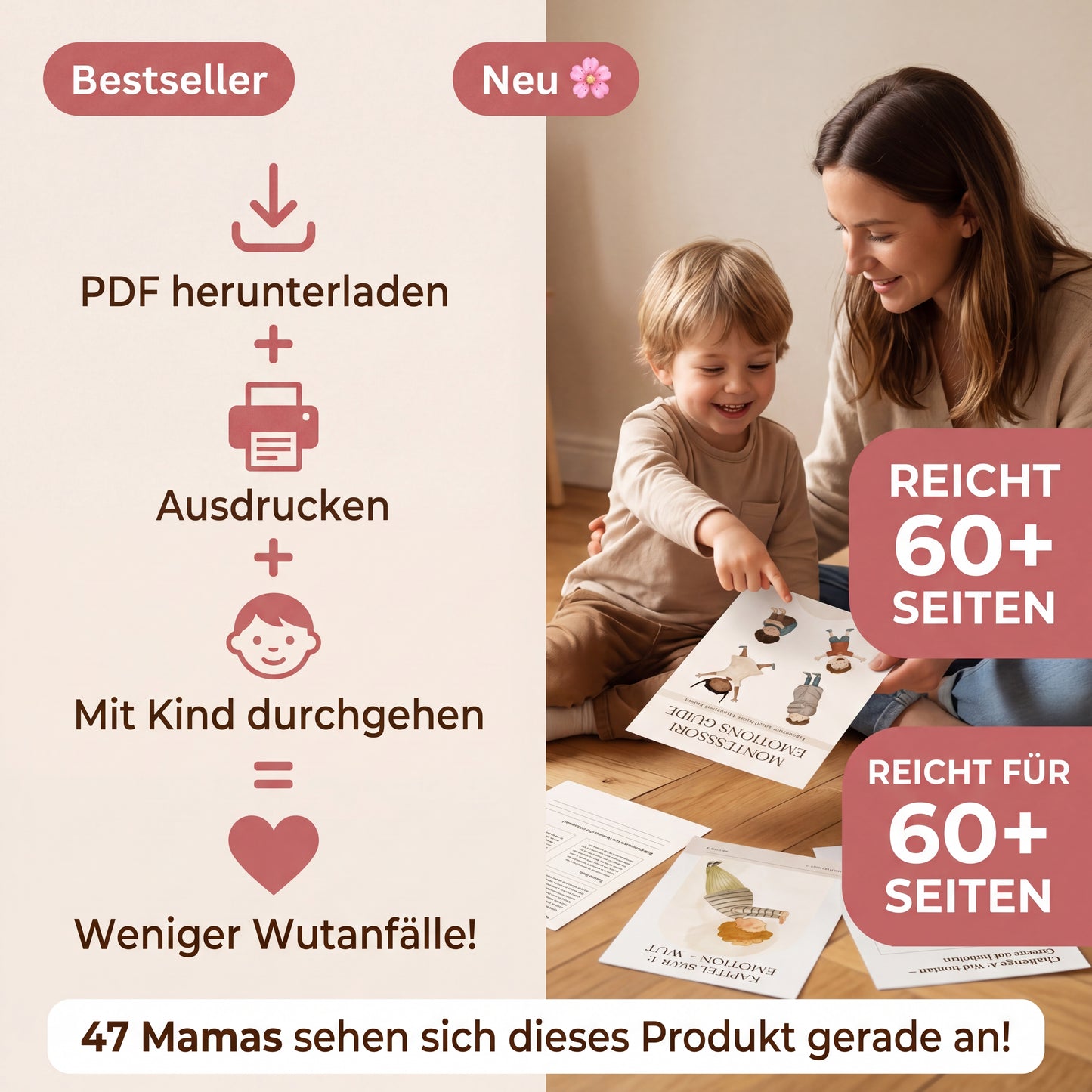 Montessori Emotions - Guide