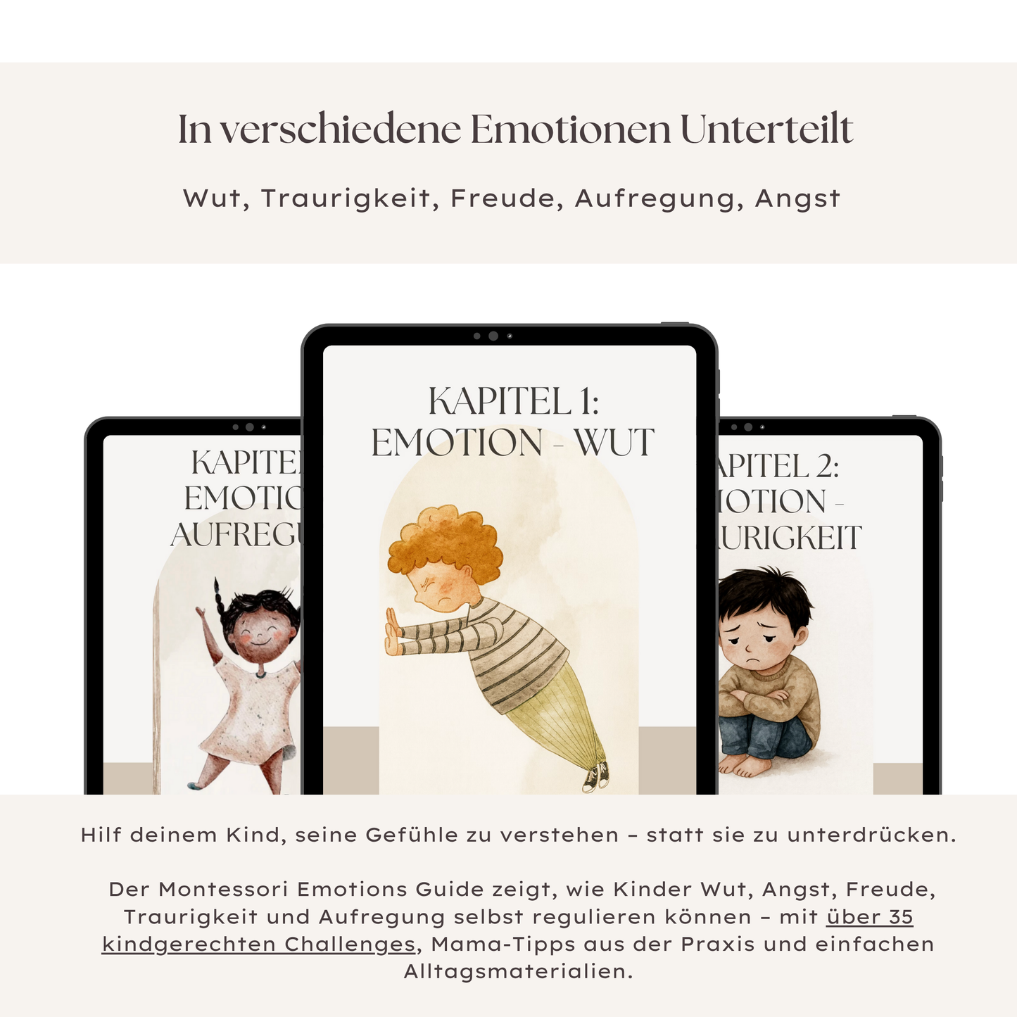 Montessori Emotions - Guide