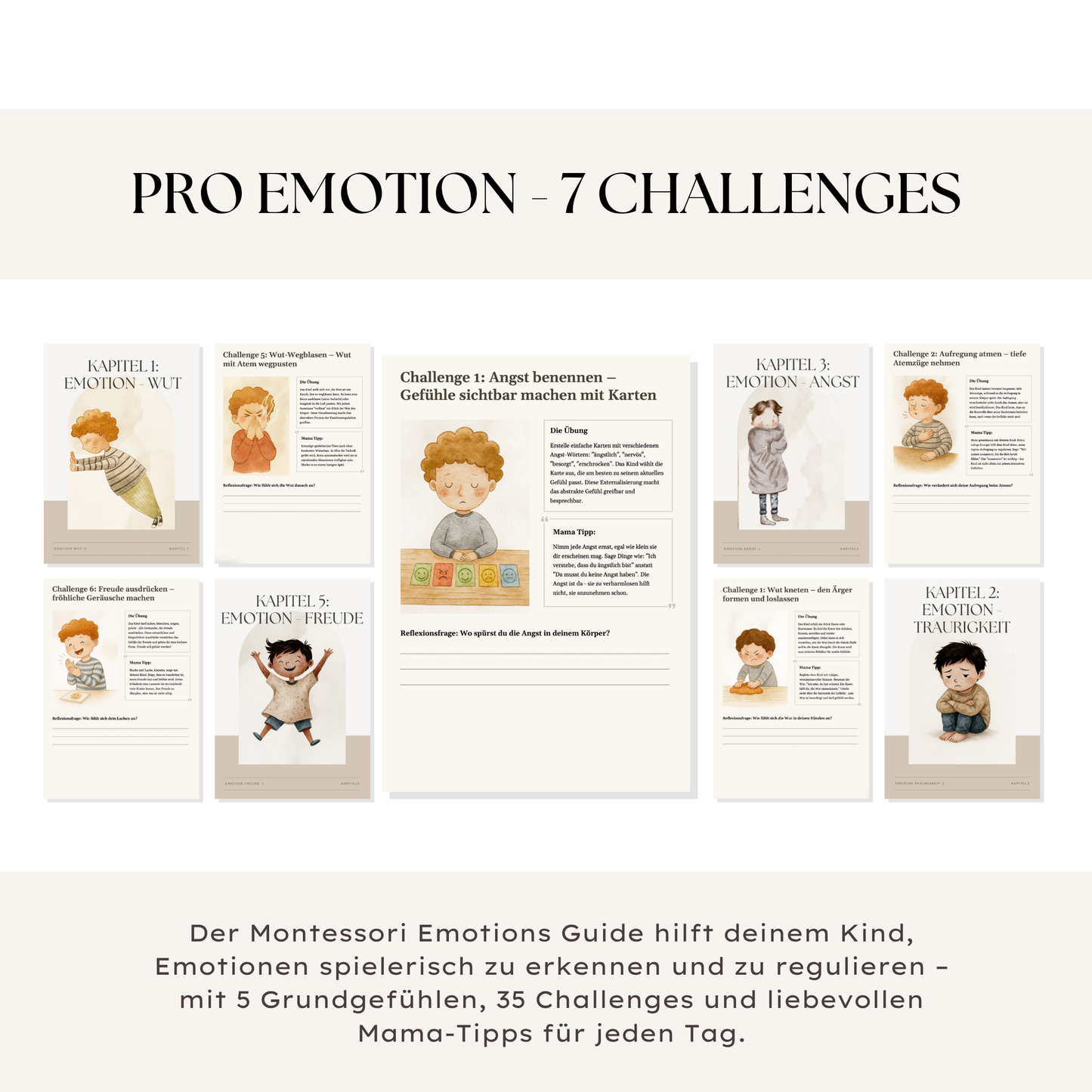 Montessori Emotions - Guide