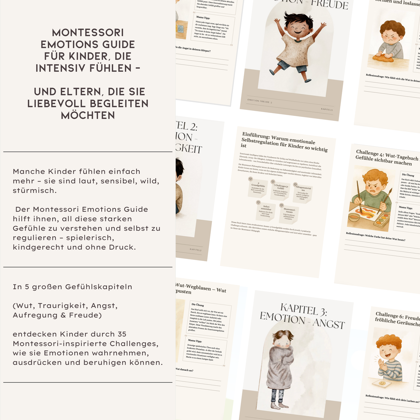 Montessori Emotions - Guide