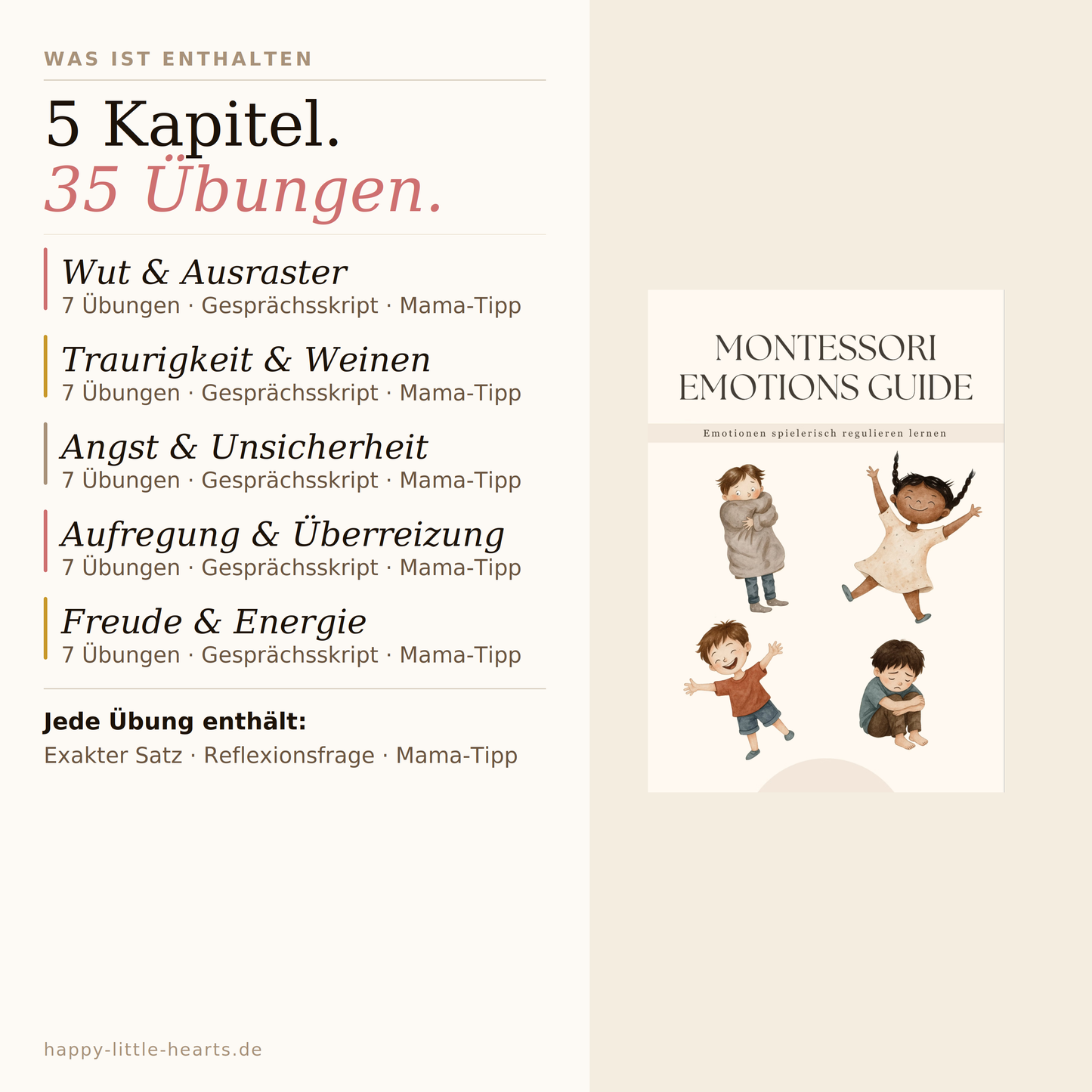 Montessori Emotions - Guide